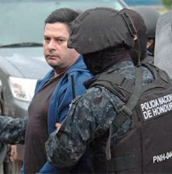 Fernandes Rosa