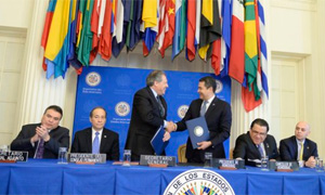 firmas