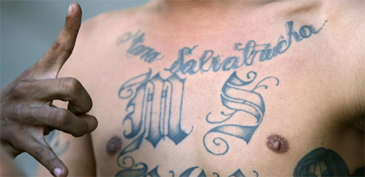 salvatrucha1