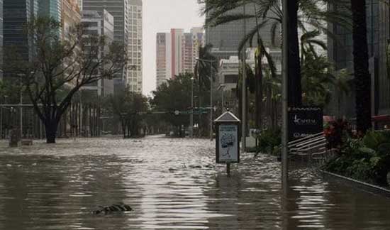 irma 1