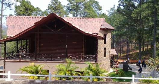 toda SARA