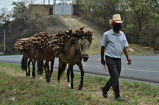 TierraAdentro
